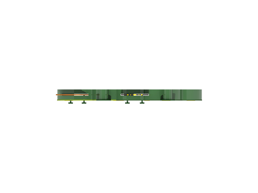 DON-SG2450-(숲속-동물찾기)-T.jpg